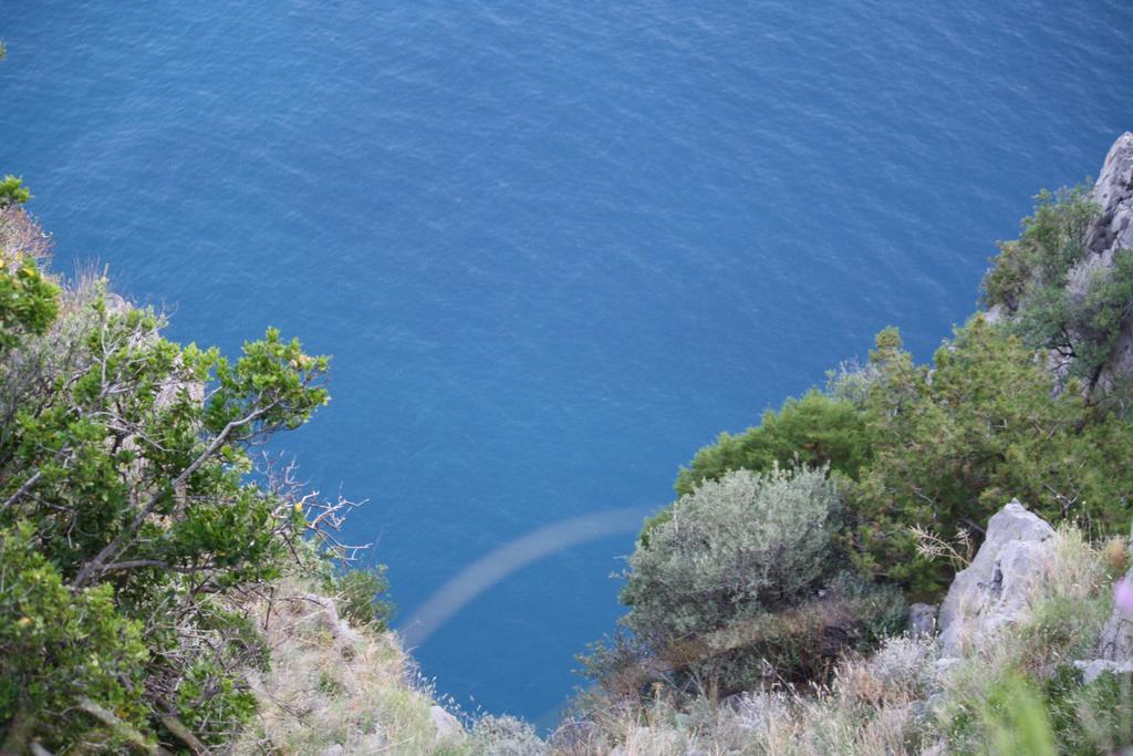 B&B Calandrella Maratea Kültér fotó