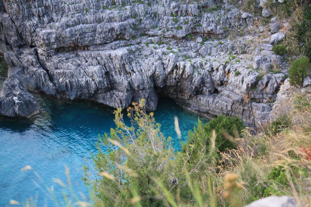 B&B Calandrella Maratea Kültér fotó