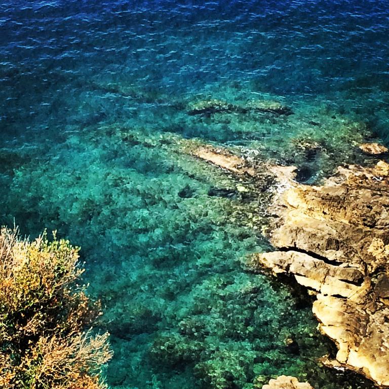 B&B Calandrella Maratea Kültér fotó