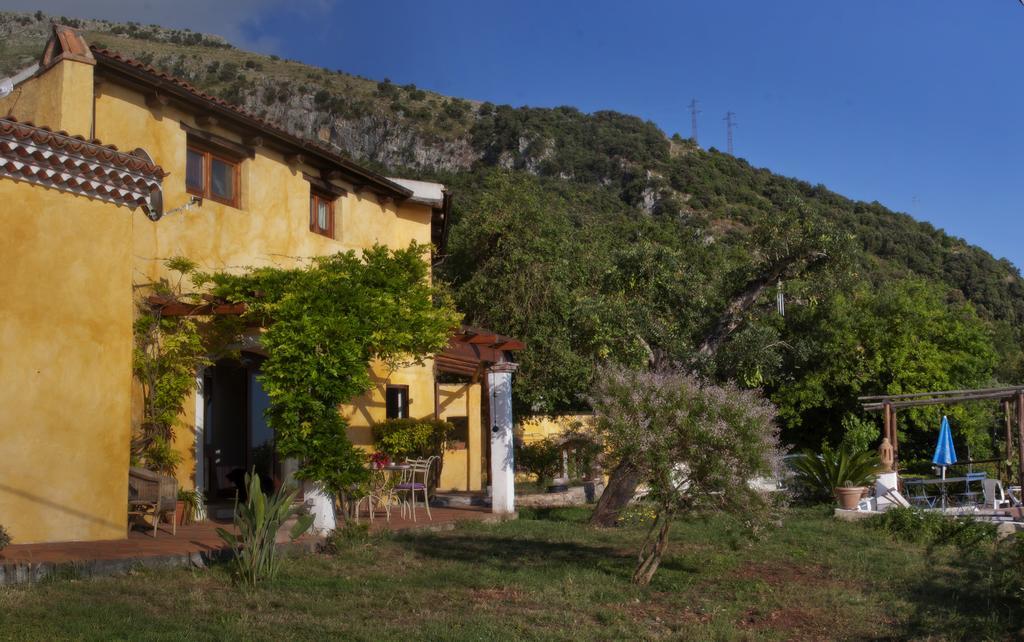 B&B Calandrella Maratea Kültér fotó